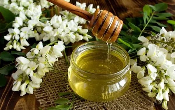 تصویر 5 از خرید و فروش عسل اقاقیا طبیعی با شرایط فوق العاده